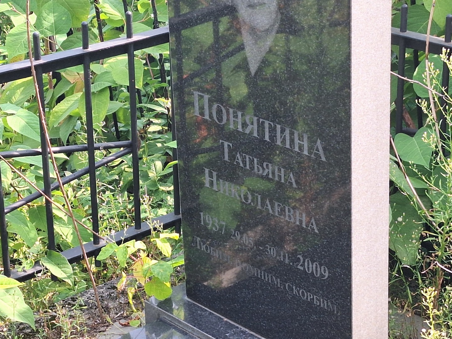 Понятина