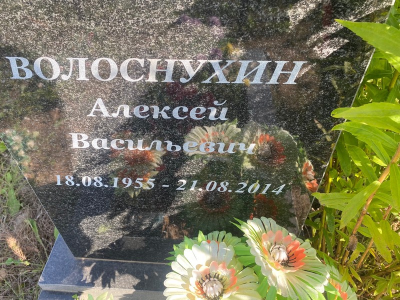 Волоснухин
