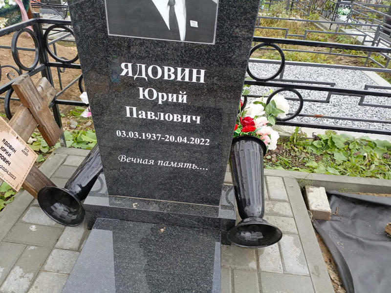 Ядовин