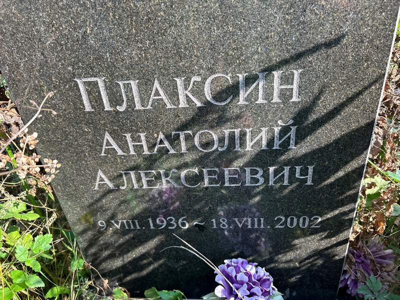 Плаксин