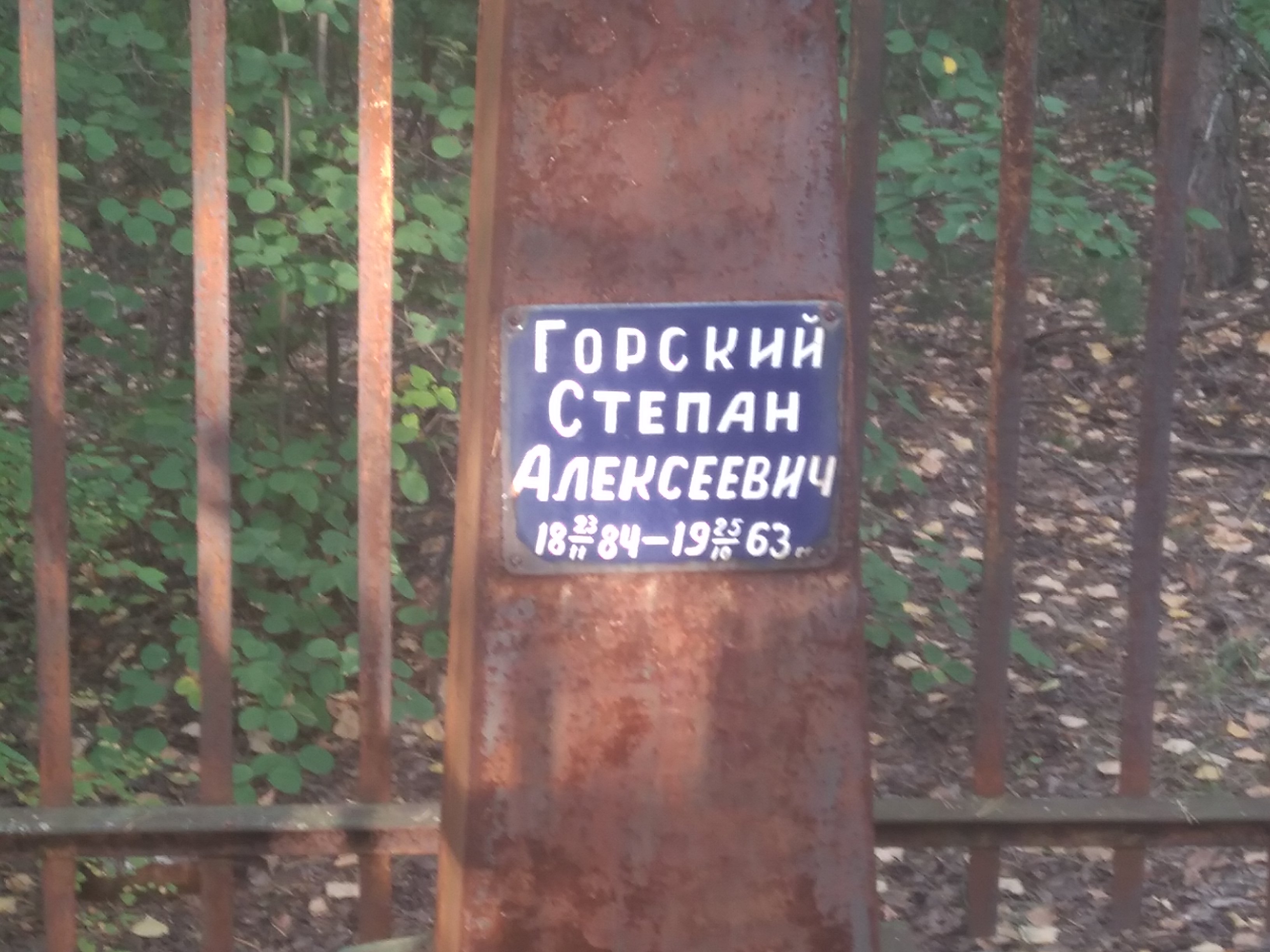 Горский Степан Алексеевич