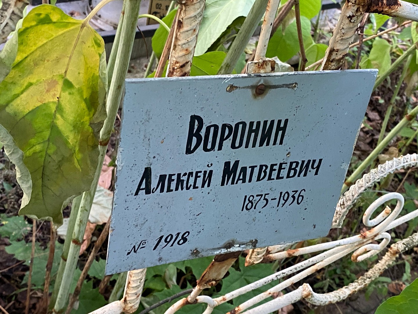 Воронин