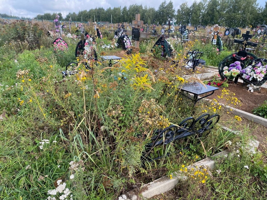 Подсосов Николай Николаевич