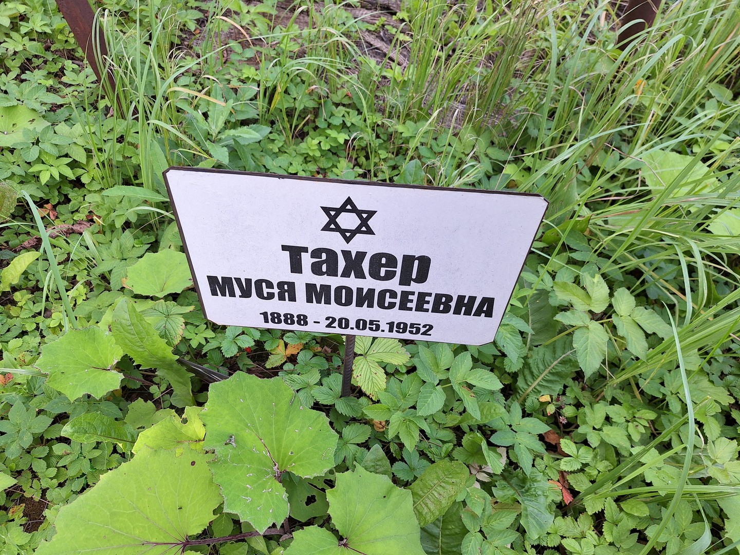 Муся Тахер Моисеевна
