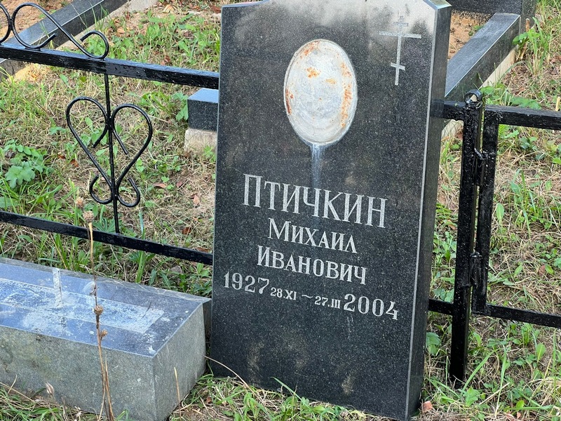 Птичкин