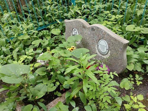 Рыбальчук Игнатий Власович
