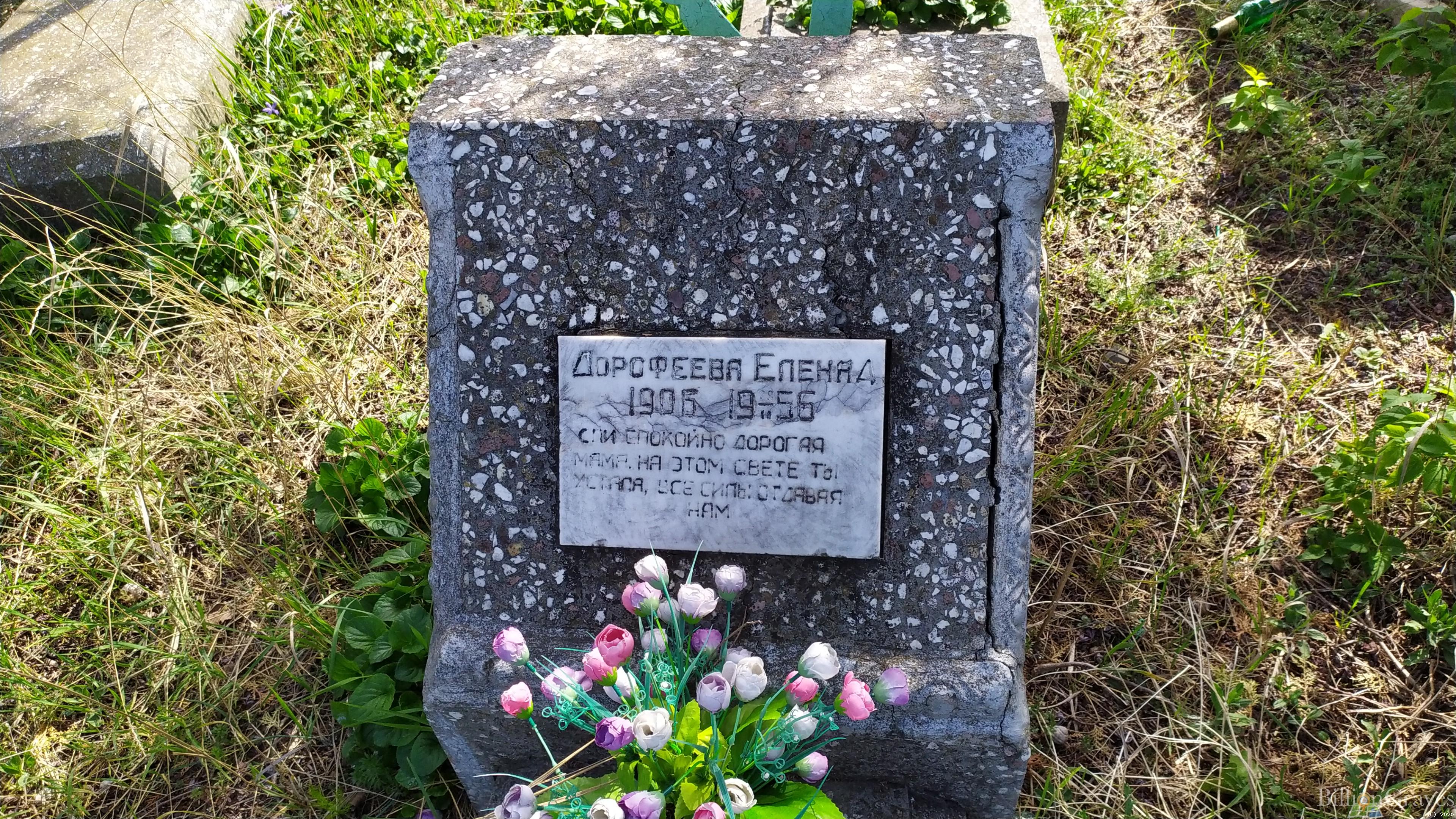 Дорофеева Елена А