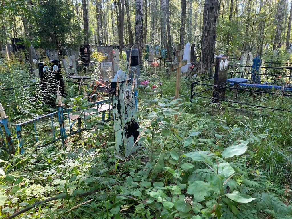 Болванова Наталья Дмитриевна
