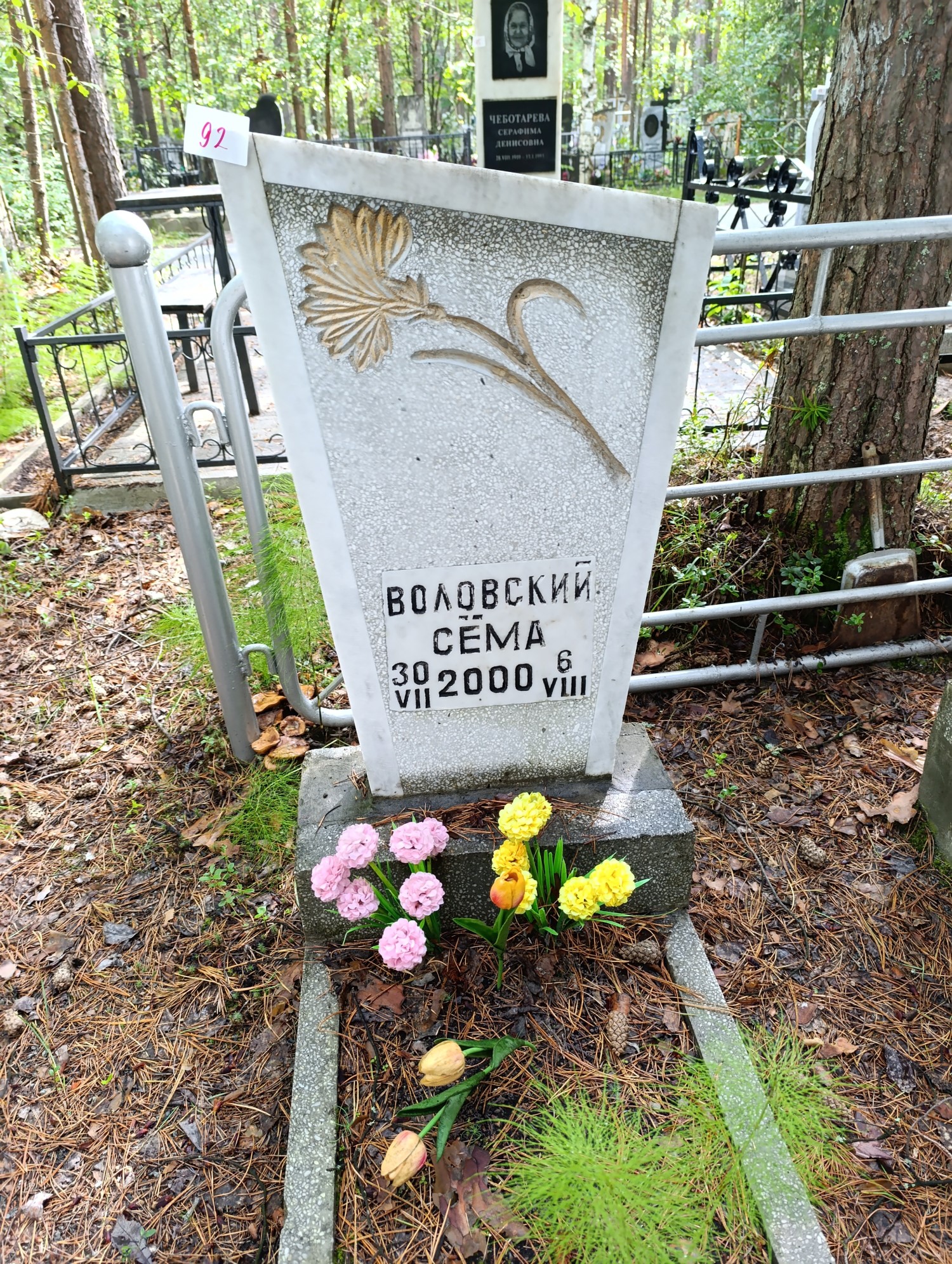 Воловский Семён