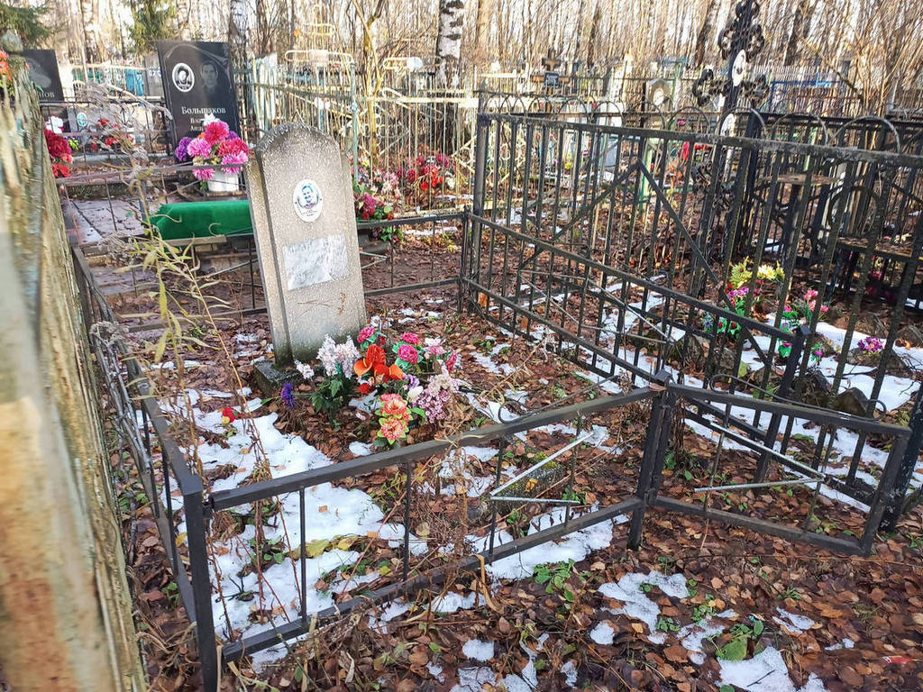 Слепнева Елизавета Николаевна