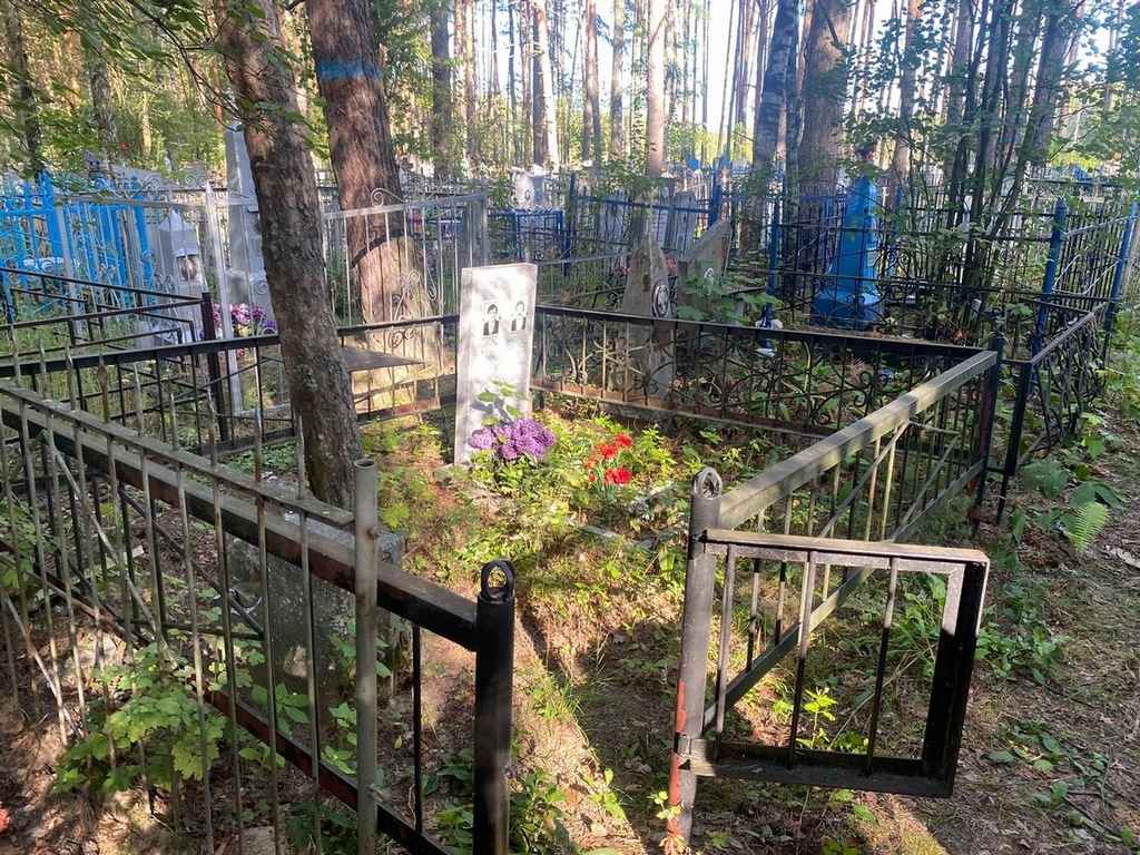 Камышанский Николай Александрович