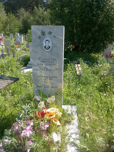 Старостин Николай Анатольевич