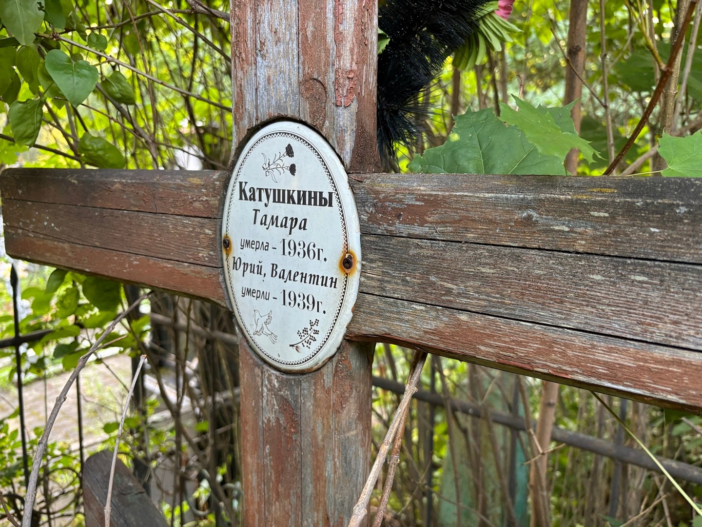 Катушкина Катушкина