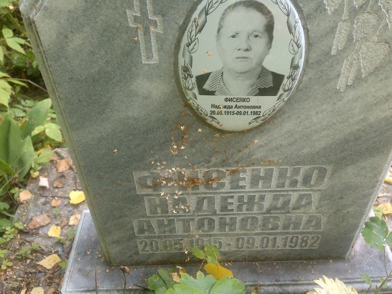 Фисенко