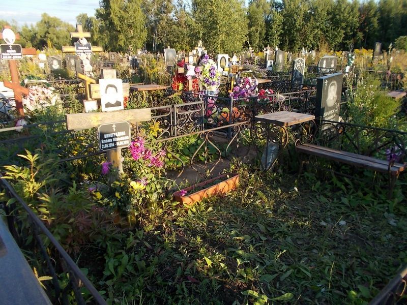 Виноградова Елена Юрьевна