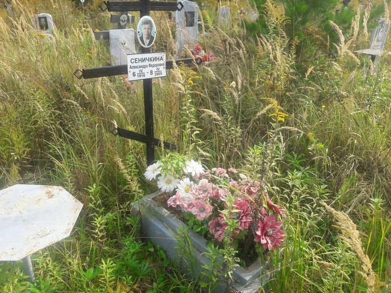 Сеничкина Александра Федоровна