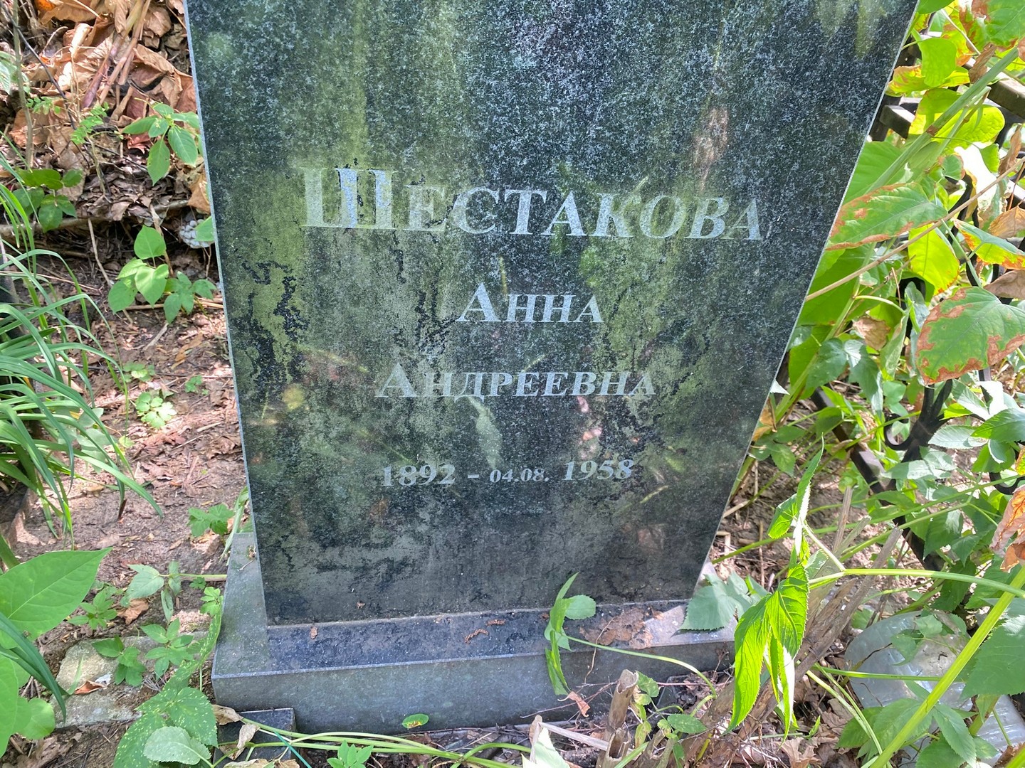 Шестакова