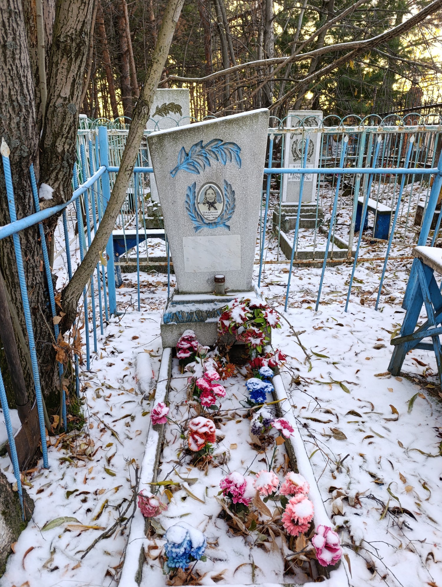 Шадрина Анастасия Петровна