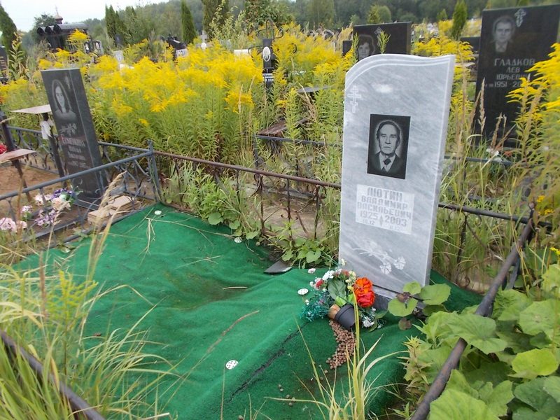 Лютин Владимир Васильевич