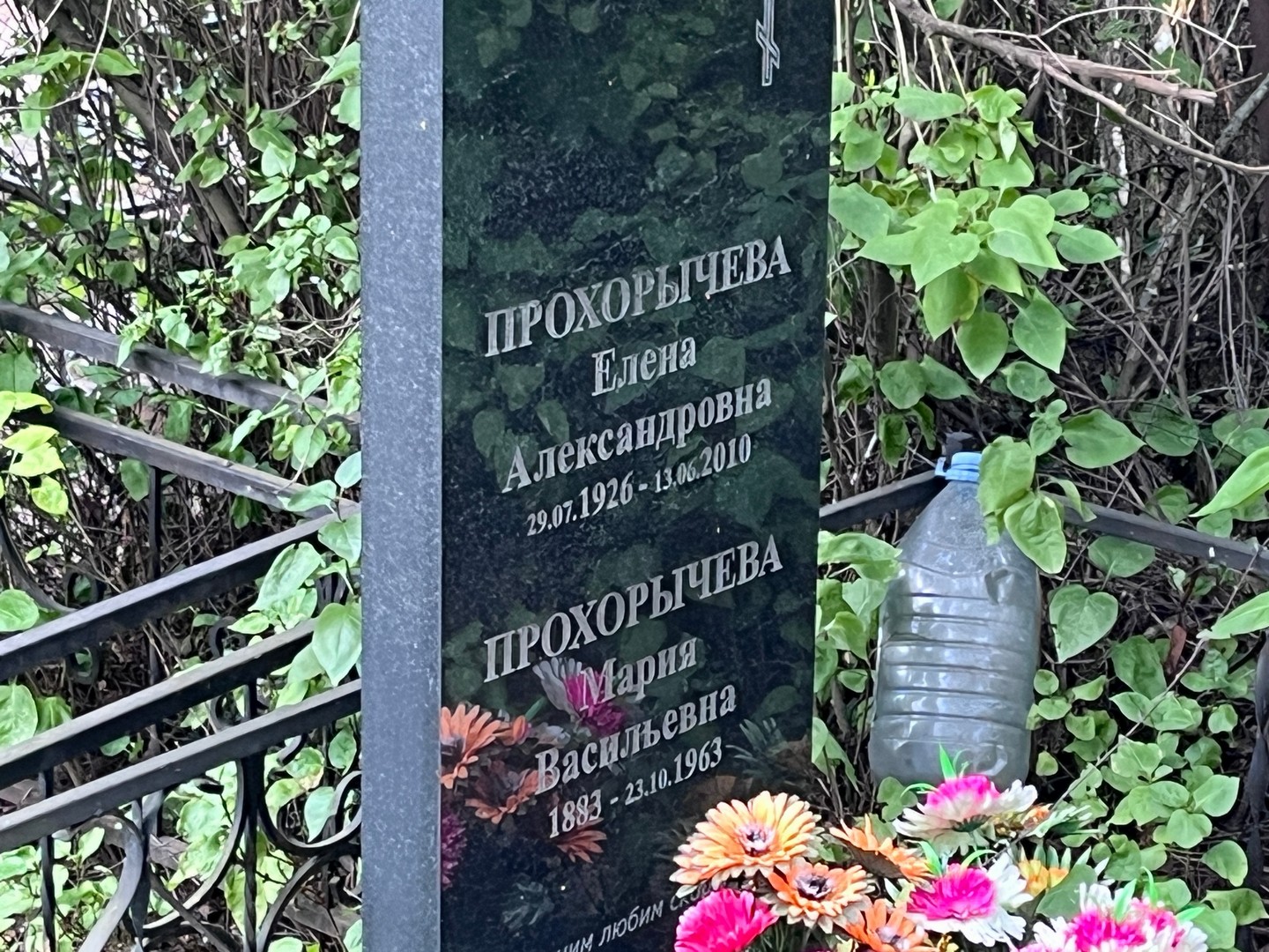 Прохорычева