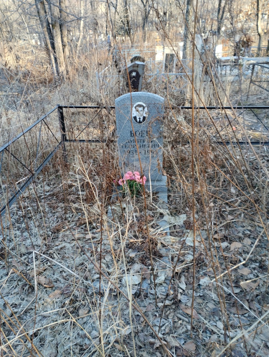 Боев Дмитрий Георгиевич
