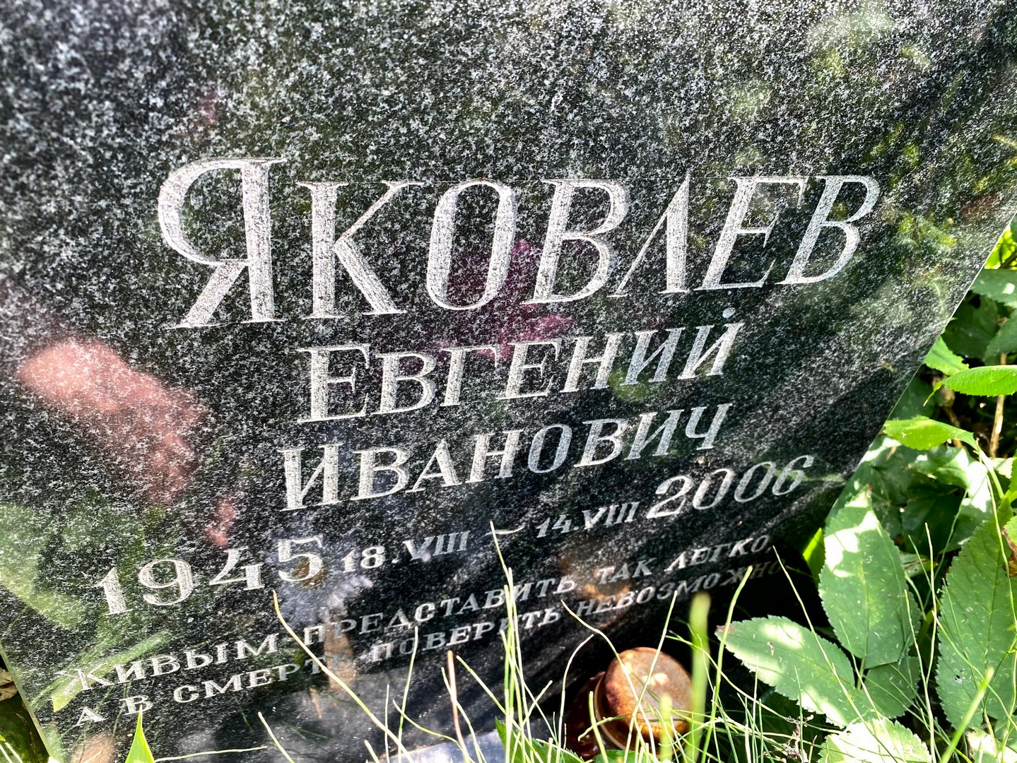 Яковлев