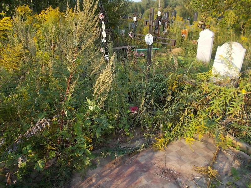 Еськин Николай Петрович