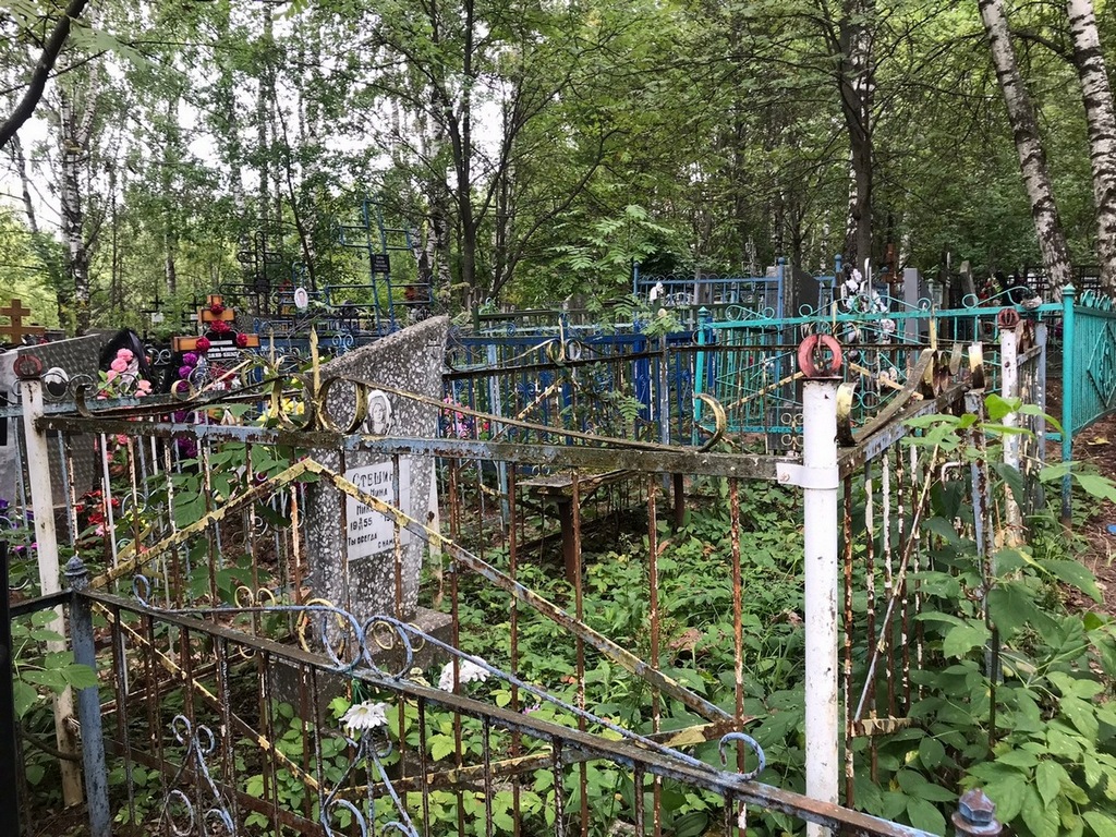 Стешина Нина Николаевна