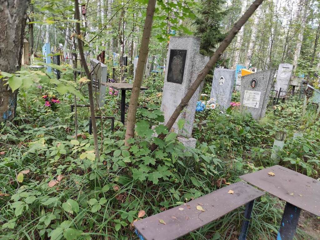 Орлов Александр Александрович