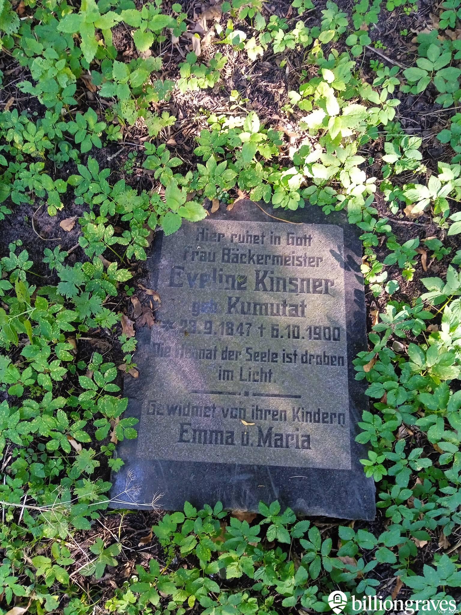 Kinsner Eveline