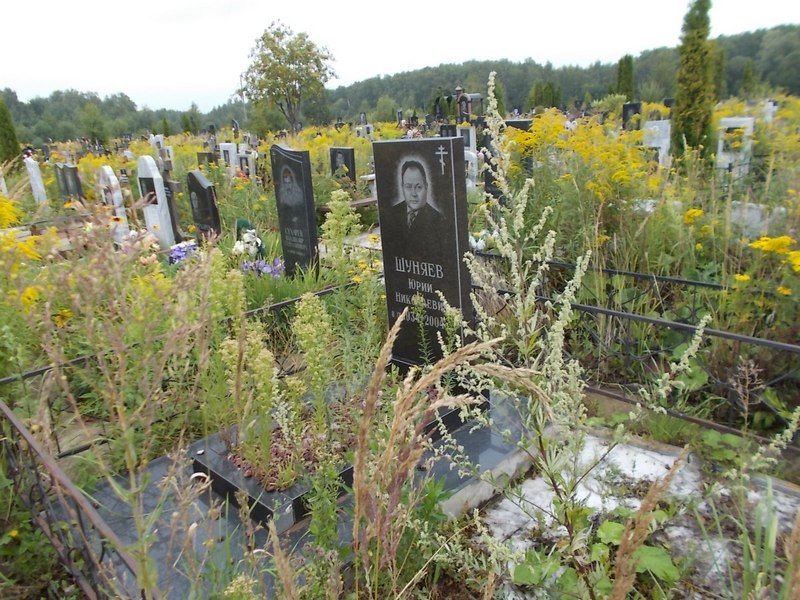 Шуняев Юрий Николаевич