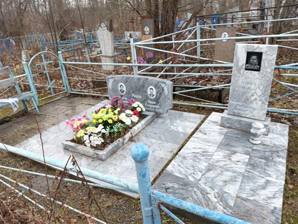 Мауль Александр Иванович