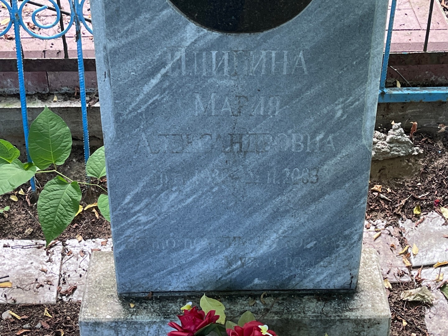Плинина