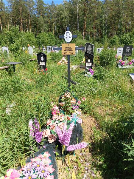 Сорокин Геннадий Михайлович