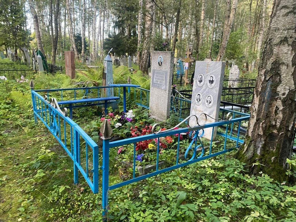 Каргин Дмитрий Васильевич