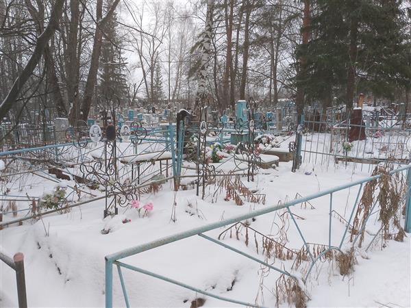 Комаров Александр Григорьевич