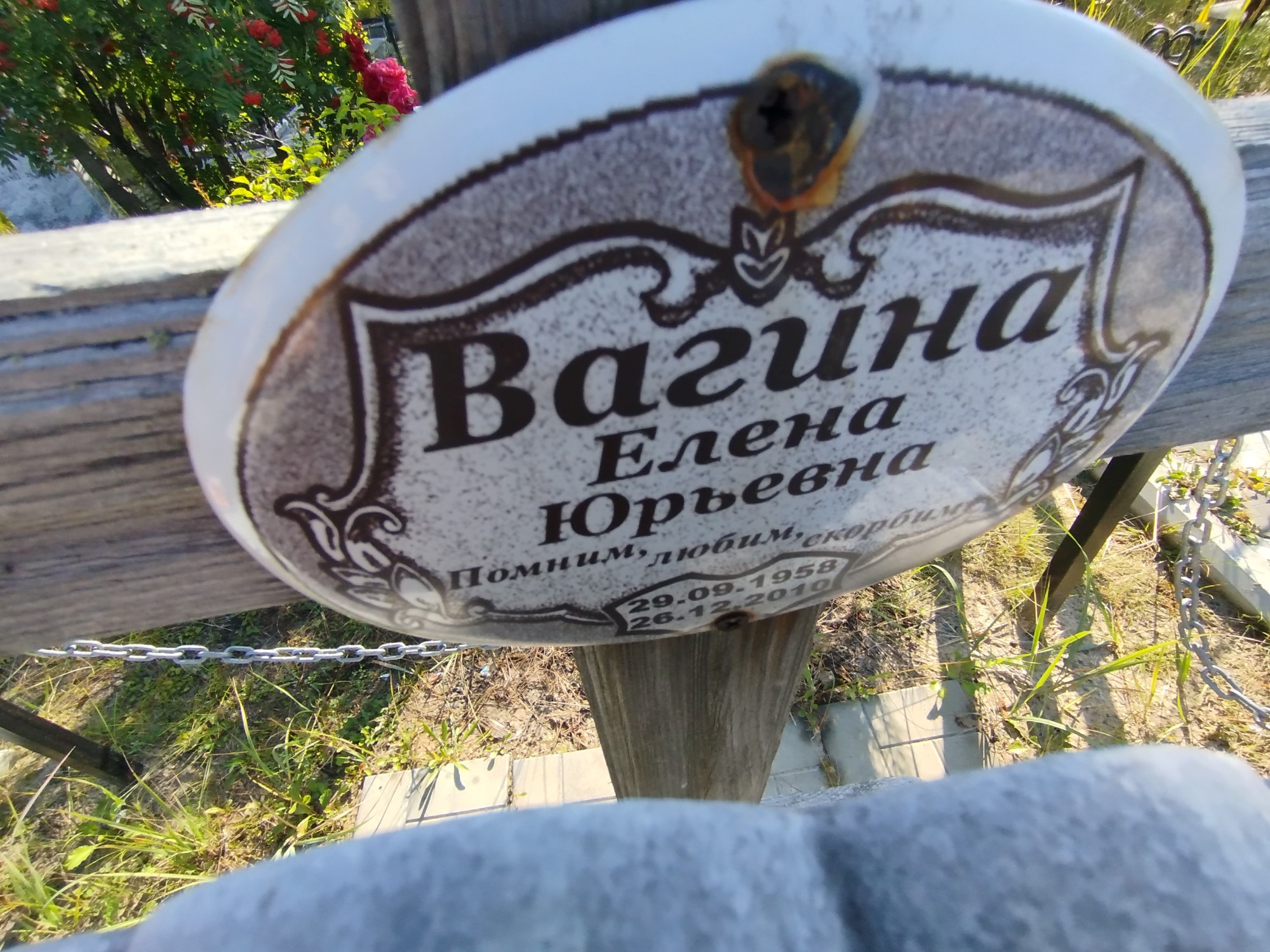 Вагина Елена Юрьевна