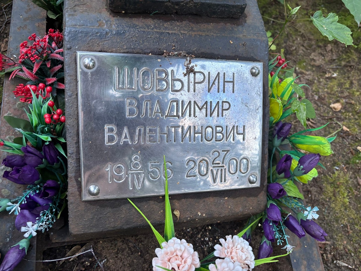 Шовырин