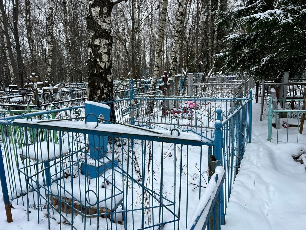 Шапошникова Анастасия Васильевна