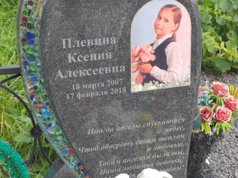 Плевина