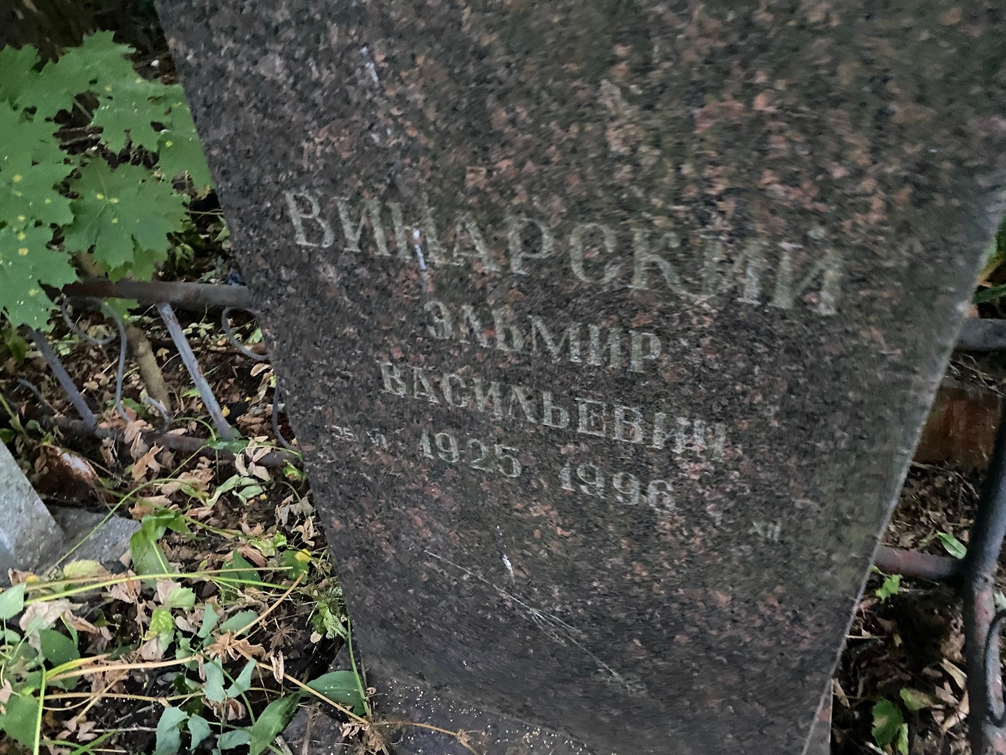Эльмир Винарский Васильевич