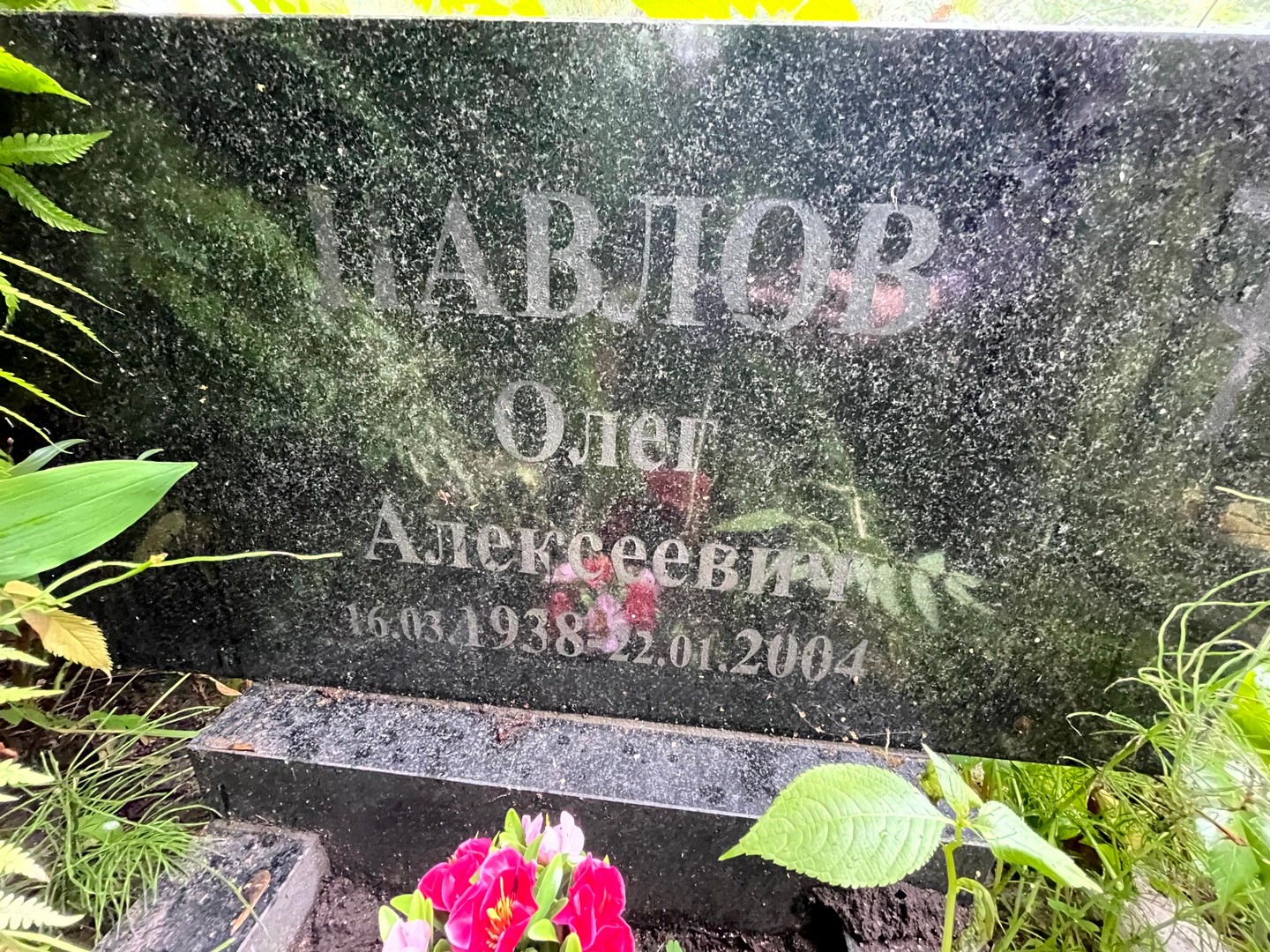 Павлов