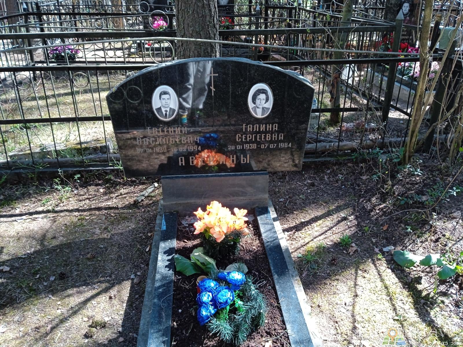 Аверина Галина Сергеевна