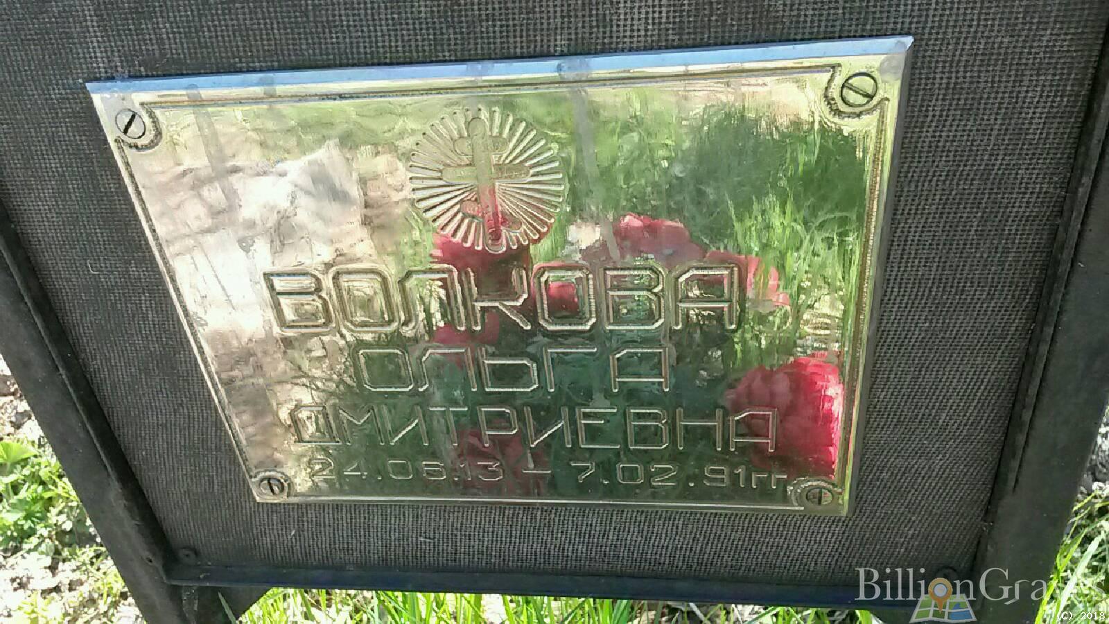 волкова ольга дмитриевна
