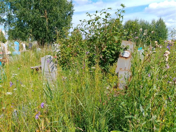 Селянкин Борис Михайлович