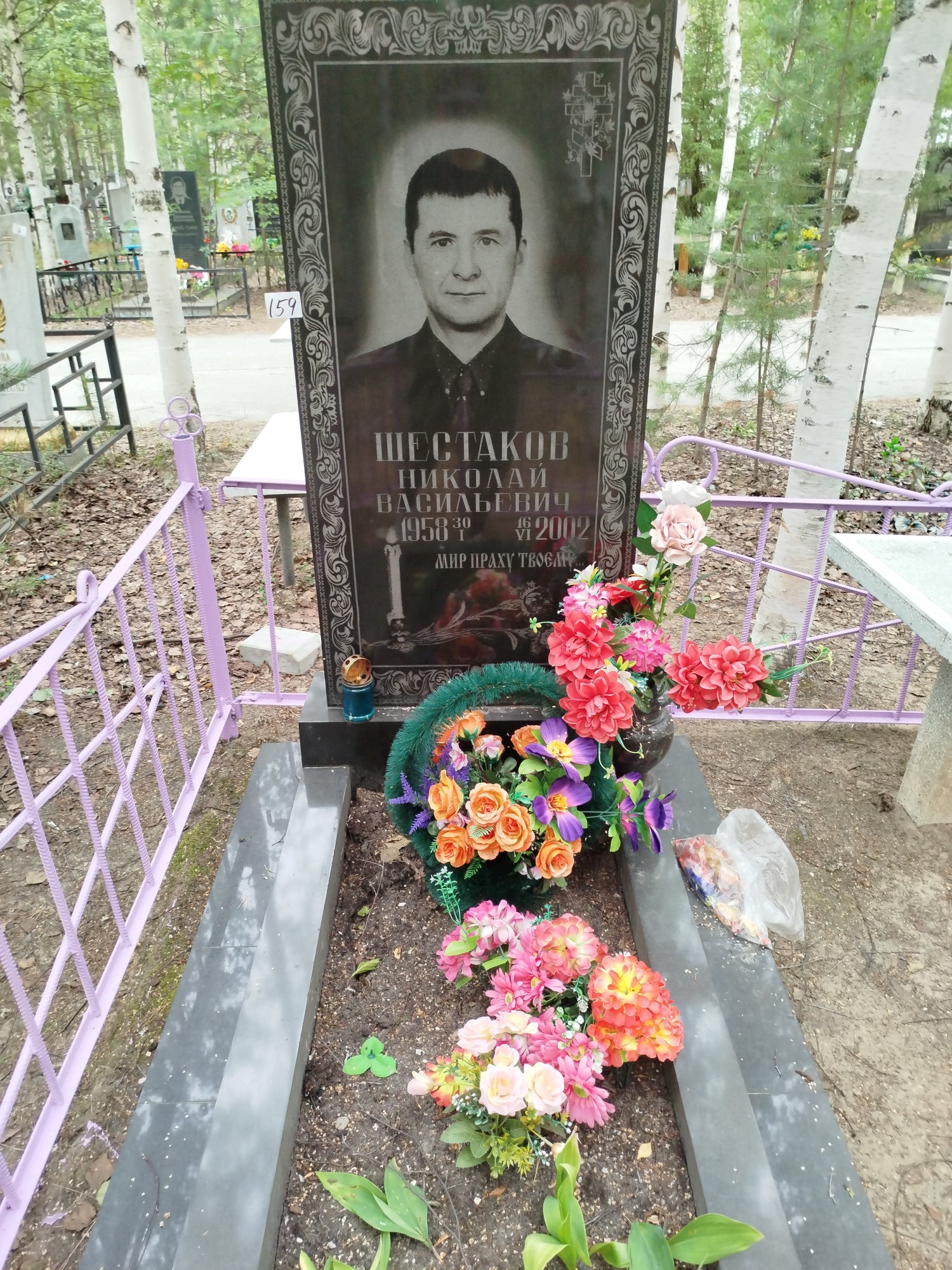Шестаков Николай Васильевич