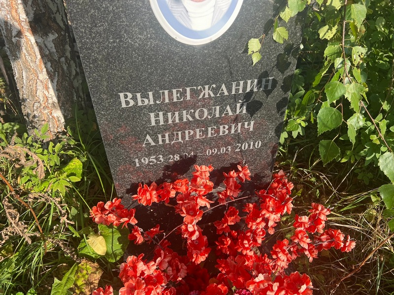 Вылегжанин