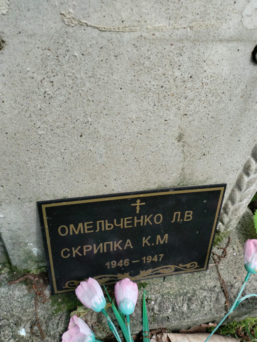 Скрипка К М