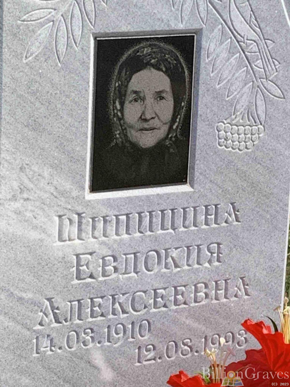 Шипицына Евдокия Алексеевна