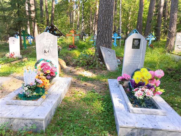 Коротков Тимофей Степанович